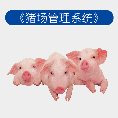 种猪养殖管理系统